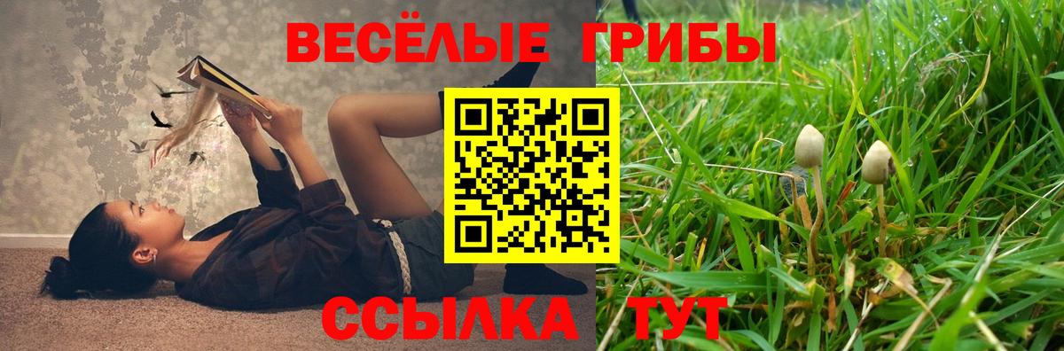 Симферополь  Псилоцибиновые грибы прущие грибы  Вход с VPN 